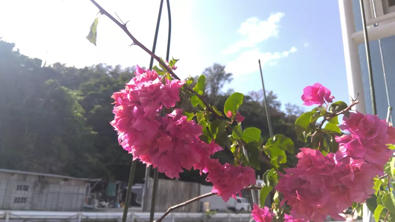 午後から晴れ間の出る万座のGWです～恩納村