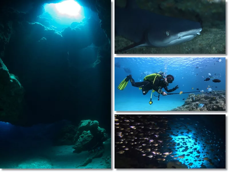 Boat fun diving