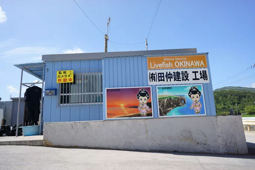 SHOP概要・アクセス